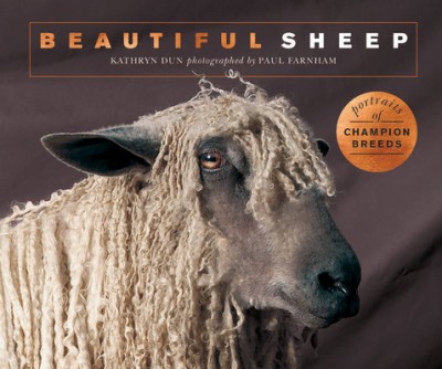 Beautiful Sheep: Portraits of Champion Breeds foto
