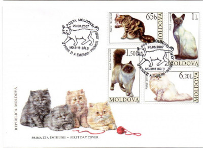 MOLDOVA 2007, FDC, Fauna, Pisici foto