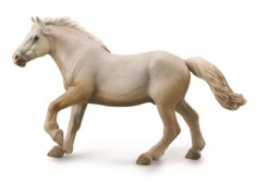 Armasar American - Collecta foto