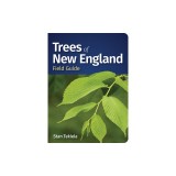 Trees of New England Field Guide