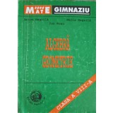ALGEBRA GEOMETRIE, CLASA A VIII-A, PARTEA 2-ANTON NEGRILA, MARIA NEGRILA, ION ROSU-324114