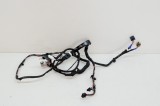 Cablaj ușă dreapta spate TESLA MODEL X 2018 OEM: 1032881-00-G 12574212