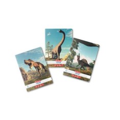 Caiet A5 48f Patratele Dino Mania