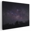 Tablou peisaj nocturn cu cer instelat Tablou canvas pe panza CU RAMA 50x70 cm