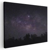 Tablou peisaj nocturn cu cer instelat Tablou canvas pe panza CU RAMA 60x90 cm