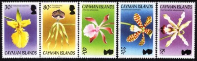 CAYMAN ISLANDS 2005 FLORI ORHIDEE foto