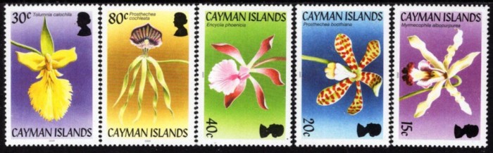 CAYMAN ISLANDS 2005 FLORI ORHIDEE