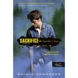Sacrifice - &Aacute;ldozat - Element&aacute;lok 5. - Brigid Kemmerer