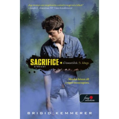 Sacrifice - &amp;Aacute;ldozat - Element&amp;aacute;lok 5. - Brigid Kemmerer foto