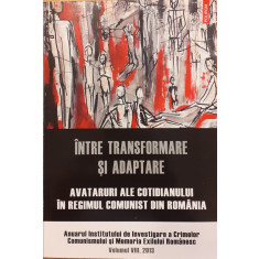 Intre transformare si adaptare. Avataruri ale cotidianului in regimul comunist dinRomania