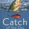 Catch of the Day