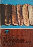 Blanurile de crescatorie si prelucrarea lor primara &ndash; Nicolae Pastirnac