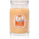 Yankee Candle Slopeside Spritz lum&acirc;nare parfumată Signature 567 g