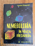 Numerologia in viata fiecaruia - Anatol Basarab / R2P2S, Alta editura