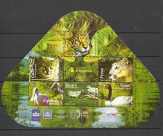 URUGUAY 2024 FAUNA ANIMALE SI PASARI foto