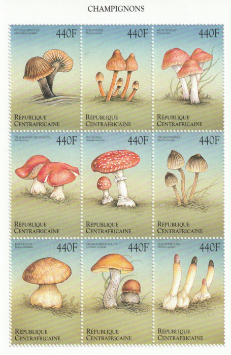 Rep. Centrafricana 1999-Flora,ciuperci,Bloc 9 valori dant.,MNH,Mi.2302-2310KB