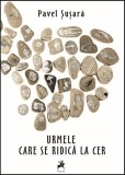 Cumpara ieftin Urmele care se ridică la cer - Paperback brosat - Pavel Șușară - Tracus Arte