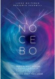Jocul Initiatic al Sincronicitatilor Dumnezeiesti - Editura Soma Nova
