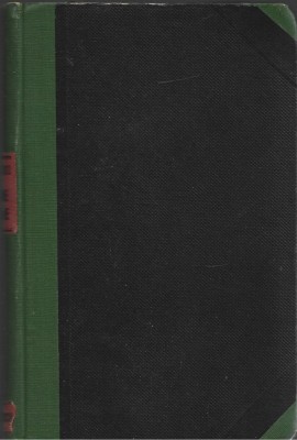 C9365N Icoane fugare, documente omenești de H Sanielevici, 1921 foto