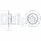 DELPHI BG3873 Disc frana