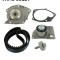 SKF VKMC 06129 Set pompa apa + curea dintata