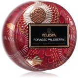 VOLUSPA Foraged Wildberry lum&acirc;nare parfumată 113 g