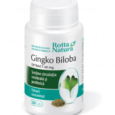 GINKGO BILOBA 60mg 30cps ROTTA NATURA