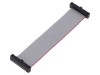 Cablu panglică SAMTEC IDC 81,28mm FFSD-13-D-03.20-01-N-RW cu conectori IDC ambele părți