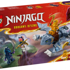 LEGO® Ninjago - Tanarul dragon Riyu (71810)