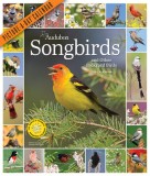 Audubon Songbirds and Other Backyard Birds Picture-A-Day Wall Calendar 2024