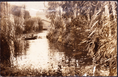 AMS - ILUSTRATA 942 PITESTI - VEDERE SPRE PARCUL VASILE ROAITA, NECIRCULATA foto