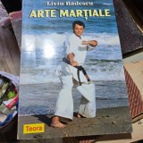 ARTE MARTIALE DE LIVIU BADESCU , 1998