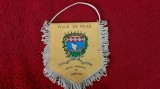 fanion Ville De reze