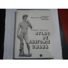 ATLAS DE ANATOMIE UMANA vol.1- MIRCEA IFRIM
