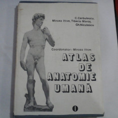 ATLAS DE ANATOMIE UMANA vol.1- MIRCEA IFRIM