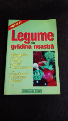 LEGUME DIN GRADINA NOASTRA foto