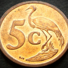 Moneda 5 CENTI - AFRICA de SUD, anul 2008 * cod 2682 = UMZANTSI AFRIKA - A.UNC