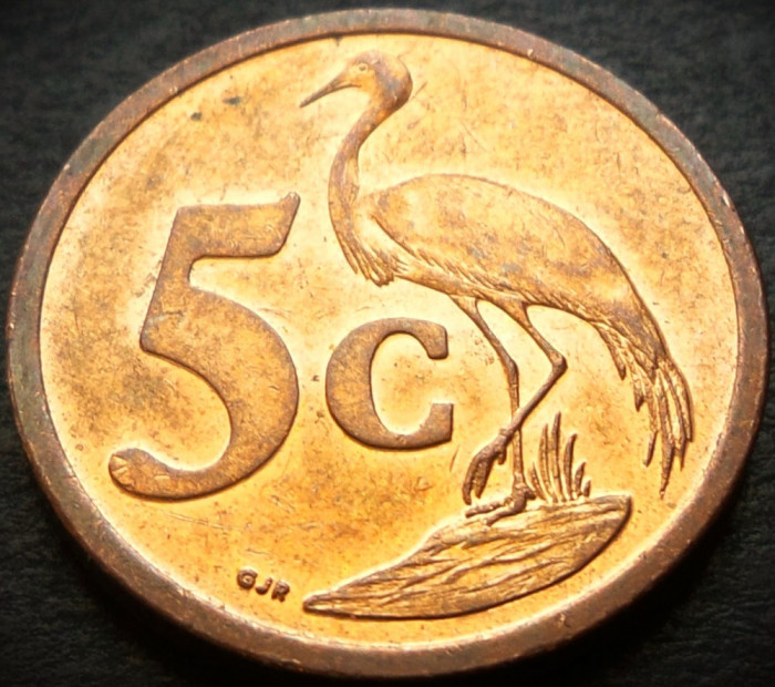 Moneda 5 CENTI - AFRICA de SUD, anul 2008 * cod 2682 = UMZANTSI AFRIKA - A.UNC