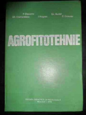 Agrofitotehnie - P. Diaconu, Gh. Burlol, Gh. Cremenescu, I. Negrea,,541176 foto