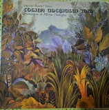 Disc Vinil Harriet Beecher Stowe - Coliba Unchiului Tom-Electrecord-EXE 02847