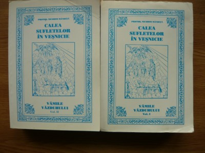 NICODIM MANDITA - CALEA SUFLETELOR IN VESNICIE ( VAMILE VAZDUHULUI ) - 2 volume - 2001 foto