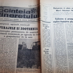 scanteia tineretului 19 mai 1982-art. foto orasul bacau,george mihaita interviu