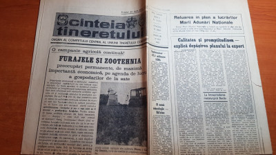 scanteia tineretului 19 mai 1982-art. foto orasul bacau,george mihaita interviu foto