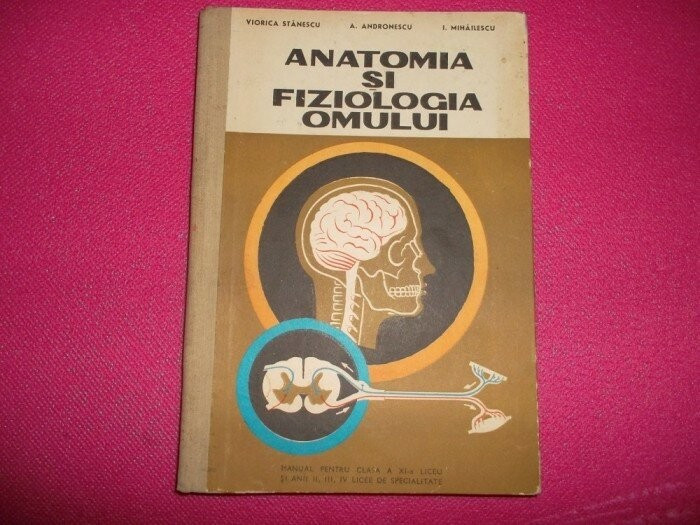 V. Stanescu - Anatomia si fiziologia omului - Manual pentru anul III de licee