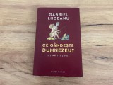 Ce g&acirc;ndește Dumnezeu? - Gabriel Liiceanu