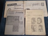 10 SUPLIMENTE FEMEIA SATEANCA ANII 60