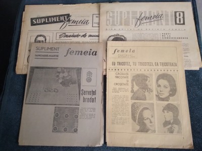 10 SUPLIMENTE FEMEIA SATEANCA ANII 60 foto