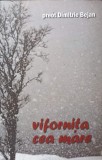 Vifornita cea Mare - Preot Dimitrie Bejan - Roman, Editura Ileana, 2013, 318 pagini
