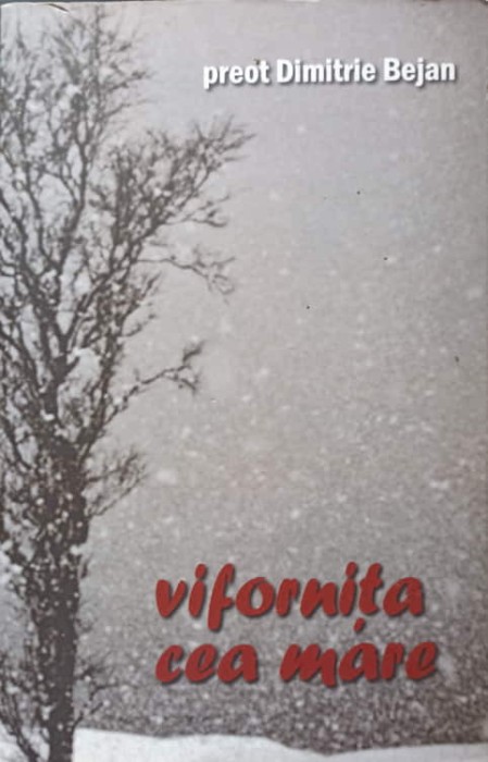 VIFORNITA CEA MARE-PREOT DIMITRIE BEJAN-238059