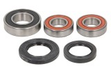 Kit rulment roata Spate (cu etansanti) pentru SUZUKI GSR, GSX-S 600/750 2006-2016